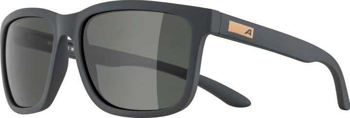 Immagine prodotto ALPINA SPORTS Burst