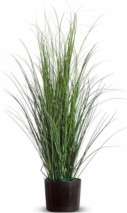 Actual product image Paperflow Grass (80 cm)