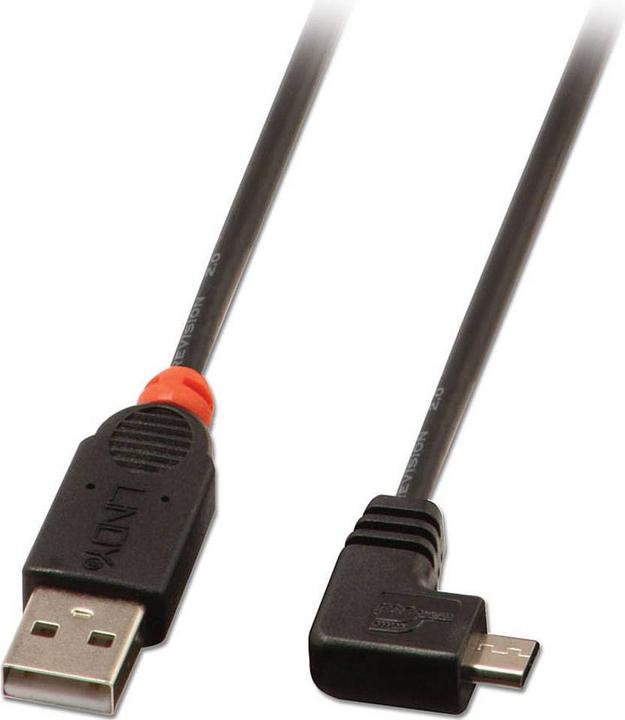 Lindy USB Kabel (0.50 m, USB 2.0)