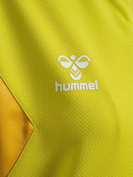 Image du produit hummel Hmlauthentic Pl Zip Hoodie Femme (M)
