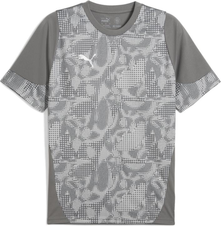 Puma teamCUP Training Jersey