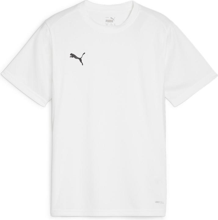 Puma teamGOAL Jersey Jr