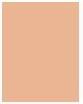 Produktbild MAC Cosmetics Studio Fix Fluid (NW13)