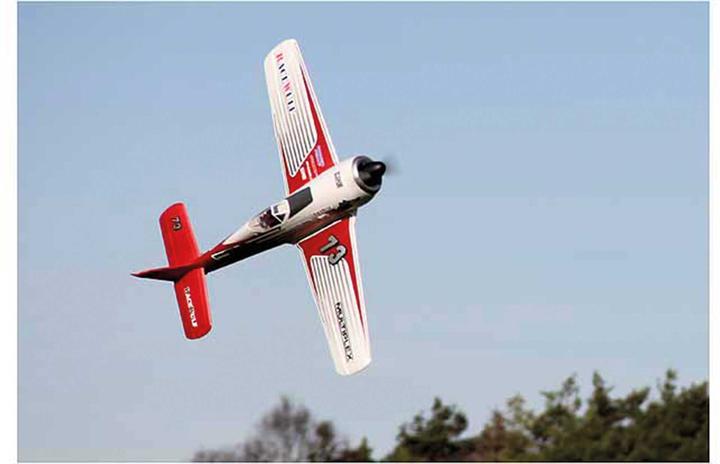 Image du produit Multiplex Race Wulf (Oiseau de guerre)
