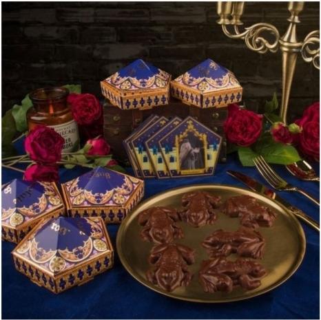 Actual product image Cinereplicas Harry Potter Chocolate Frog Shape New Edition