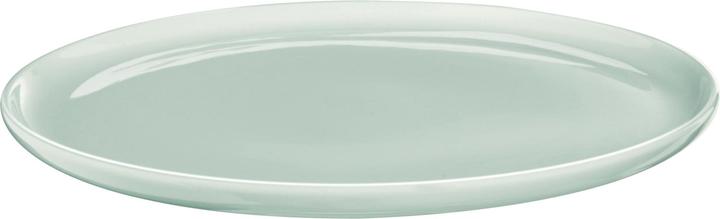 ASA Selection hummingbird (1 x, 20 cm)