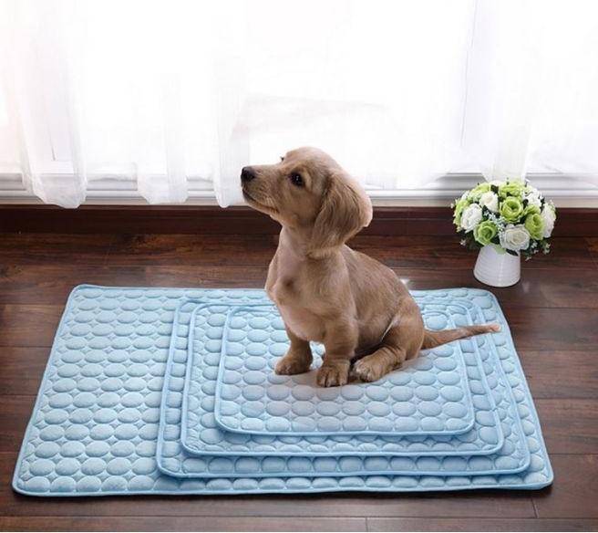 Image du produit MU Classic Ice Series (Chien, Chat)