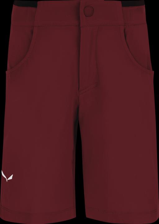 Salewa Kid's Puez Talveno DST Shorts (104)