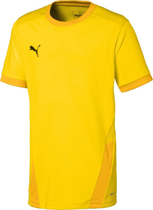Puma teamGOAL 23 Jersey jr-704160