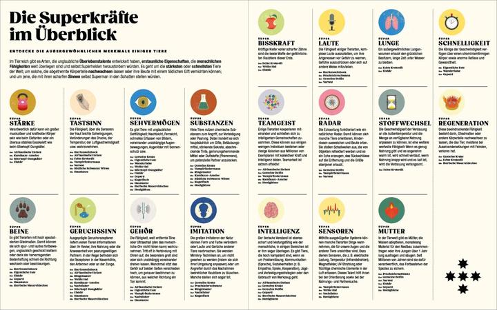 Produktbild Tiere und ihre Superkräfte (Deutsch, Soledad Romero Mariño, Sonia Pulido, 2024)