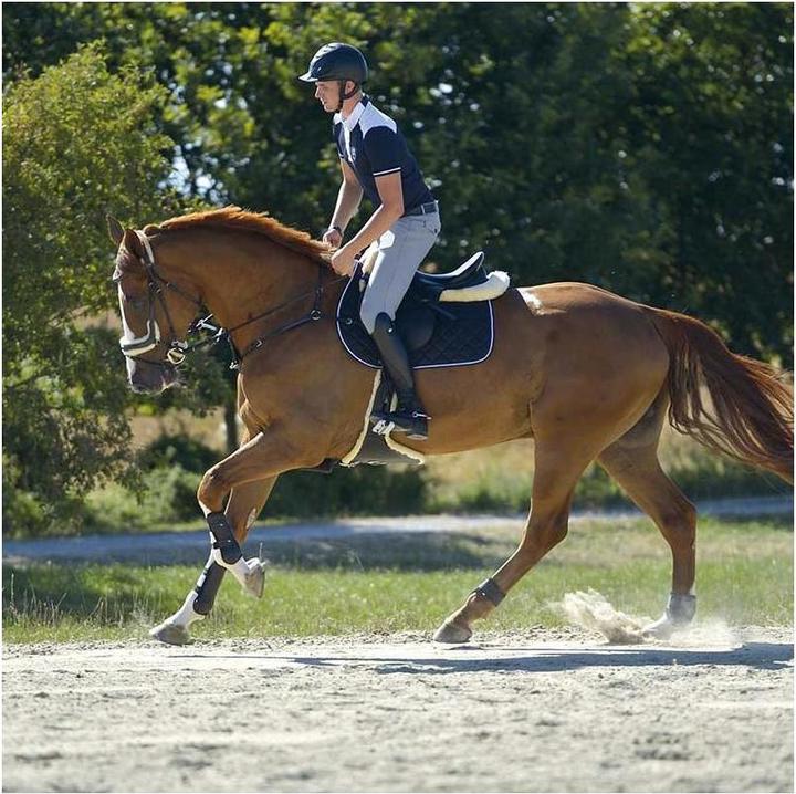 Image du produit Kavalkade Bottes d'équitation en cuir Maximus pour femmes (38)