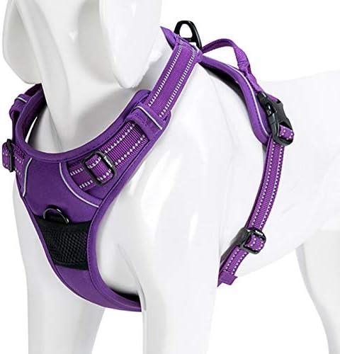 Produktbild Truelove Reflektierendes Hundegeschirr (Hund)
