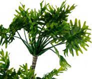 Produktbild Ibergarden Topf hoch Pflanze 4 grüne Palmen (54 cm)
