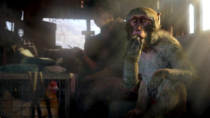 Produktbild Ubisoft Far Cry 4 (PS4, EN)