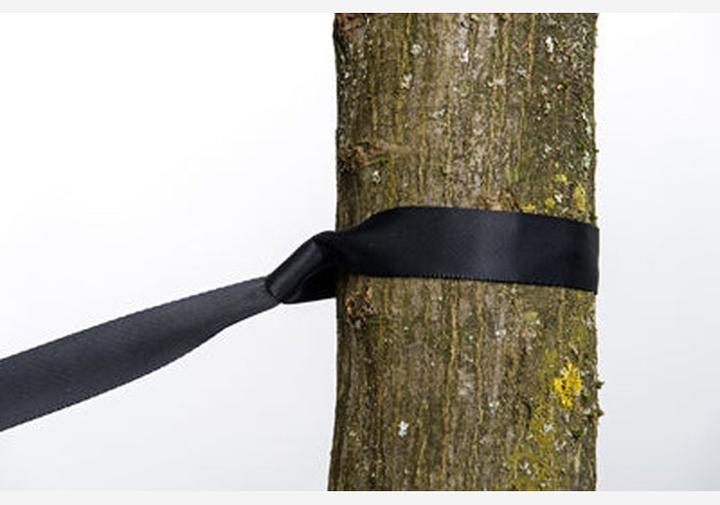 Actual product image Amazonas 2-in-1 Treehugger