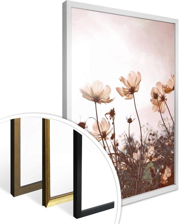 Produktbild Trenddeko Wilde Wiese (24 x 30 cm)