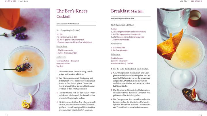 Produktbild Cocktails selbst gemixt (Deutsch, Daniel Richter, 2017)
