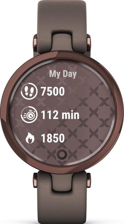 Produktbild Garmin Smartwatch für Frauen Lily Classic Dark Bronze Paloma (34.50 mm)