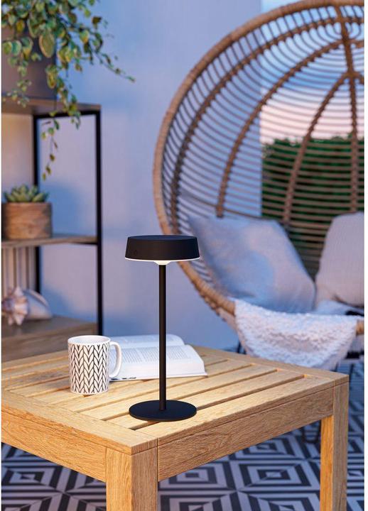 Actual product image EGLO Table lamp (250 lm)
