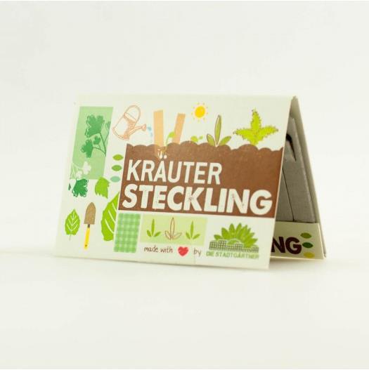 Cuttings herbs (Herb seeds)