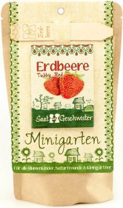 Produktbild Saatgeschwister Minigarten Erdbeere (rot) (Früchtesamen)