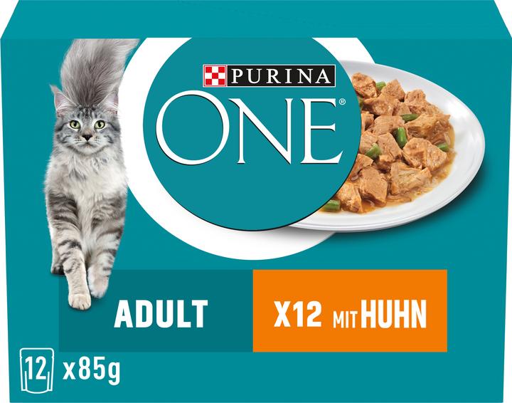 Purina ONE Adult (Adult, 1 Stk., 1160 g)