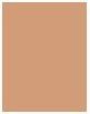 Actual product image Sisley Phyto Hydra Complexion (3 Golden)