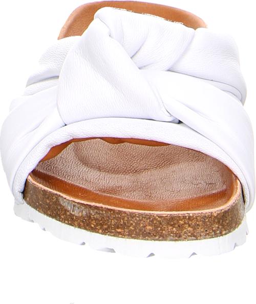 Actual product image Verbenas Rainbow Blanco (38)