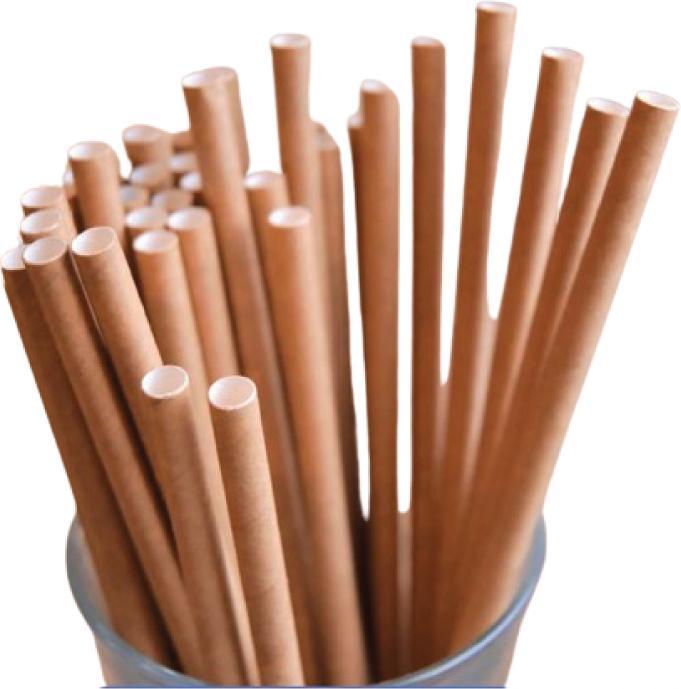 Produktbild Team Bio Trinkhalme Stroh Papier (400 x)
