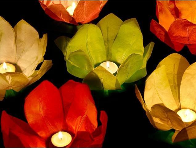 Actual product image Partydeco Floating Water Lanterns Lotus Flowers
