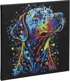 Produktbild Grafix Malen nach Zahlen Hund aus schwarzem Canvas, 30x30cm