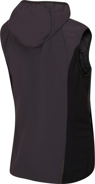 Actual product image Directalpine Element Lady 1.0, Weste, Damen (Athletic Fit) - Direct Alpine, 300 (L)