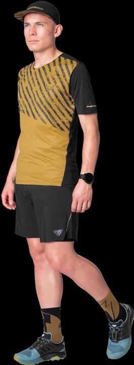 Produktbild Dynafit Alpine Shirt Herren (XL)