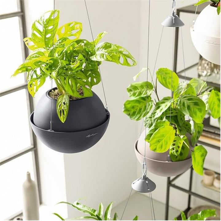 Actual product image Lechuza Bola Color 32 (32 cm)