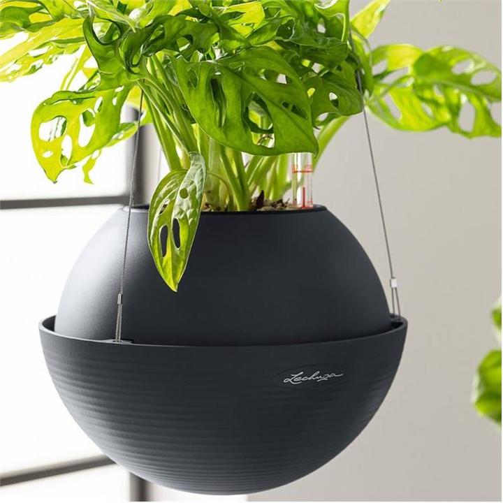 Actual product image Lechuza Bola Color 32 (32 cm)