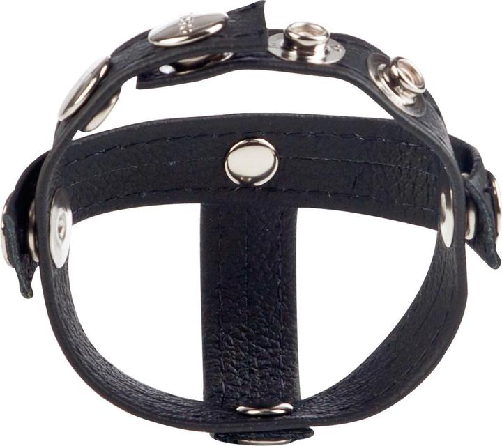 Produktbild CalExotics Colt Leather Hpiece Divider (2 cm)