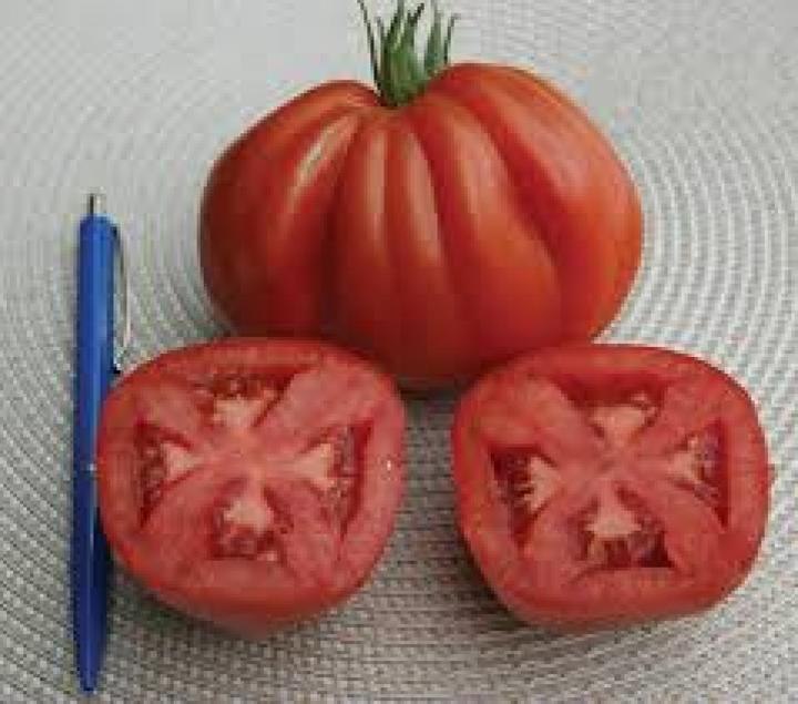 Image du produit Sativa Tomate charnue Coeur de boeuf (Graines de légumes)