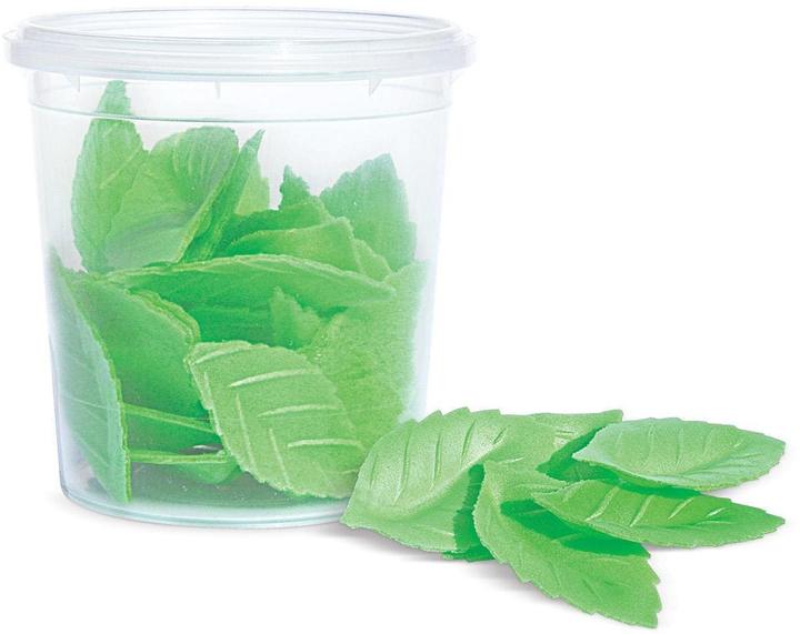 ScrapCooking Feuilles vertes (24 x)