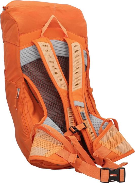 Actual product image Deuter AC Lite 22 (22 l)