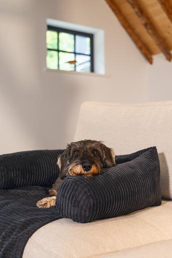 Actual product image Designed by Lotte Ribbed (Dog)