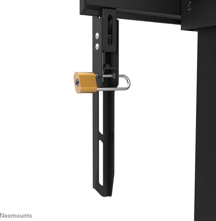 Actual product image Neomounts FL55-875BL1 (Universal, 100", 110 kg)