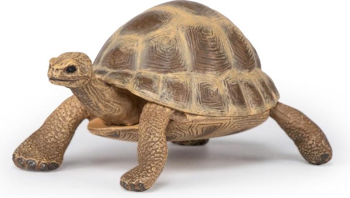 Produktbild Papo Hermanns Schildkröte