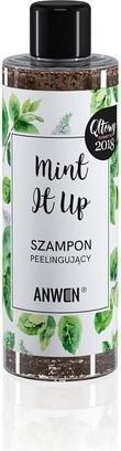 Actual product image Anwen Mint It Up Hair Scrub Shampoo (200 ml, Liquid shampoo)