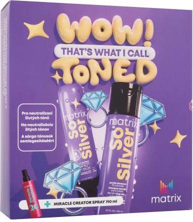 Image du produit Matrix So Silver (Set soin capillaire)