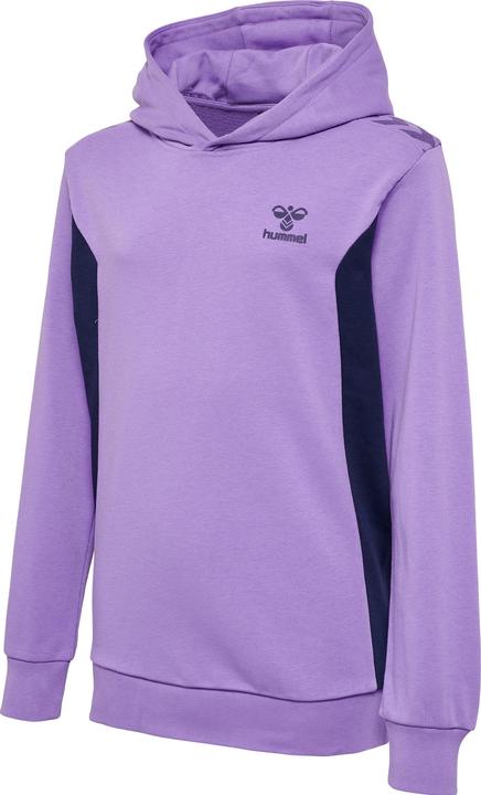 Produktbild hummel Hmlstaltic Cotton Hoodie Kids (116)