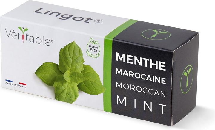 Produktbild Véritable Marokkanische Minze (Pflanzensamen)