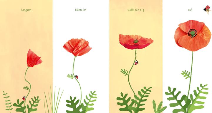 Produktbild Kleine Blume, grosse Welt (Deutsch, Guido van Genechten, 2021)
