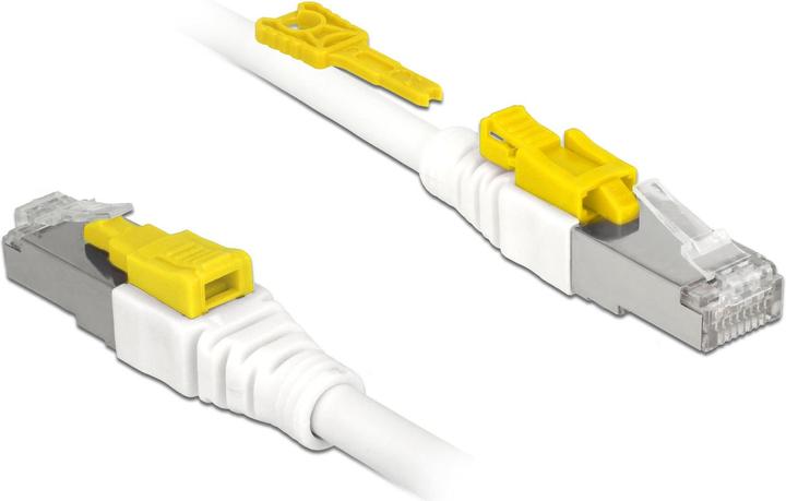 Actual product image Delock Patch cable: S/STP, 3m, white (S/STP, CAT6a, 3 m)