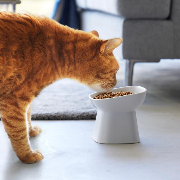 Productafbeelding Yamazaki Gehoekte keramische voerbak TOWER (0.20 l)