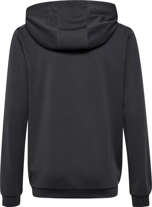 Actual product image hummel Hmlauthentic Pl Zip Hoodie Kids (176)